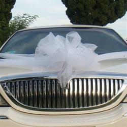 Passion Limousine Service, Fano orari di apertura