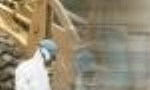 Impresa Edile Di Kodraziu Xhelal, Empoli orari di apertura
