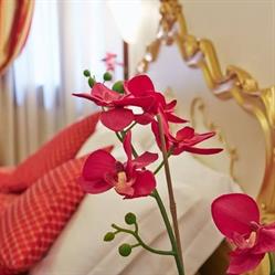 Hotel San Luca, Venezia orari di apertura