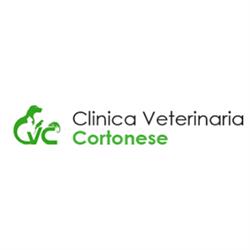 Clinica Veterinaria Cortonese, Perugia orari di apertura