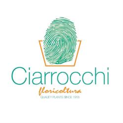 Ciarrocchi Floricoltura, San Benedetto del Tronto orari di apertura