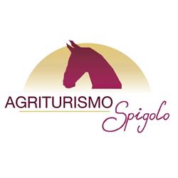 Agriturismo Spigolo di Rigo Michela, Verona orari di apertura
