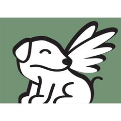 Angeli con La Coda, Modena orari di apertura