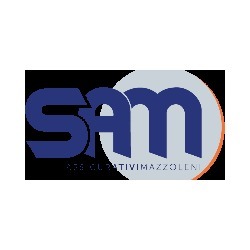 S.A.M. - Servizi Assicurativi Mazzoleni, Bergamo orari di apertura