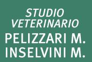 Studio Veterinario Associato Pelizzari M. e Inselvini M., Concesio orari di apertura