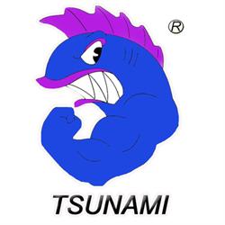 Tsunami, Gallarate orari di apertura