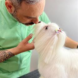 Il Brutto Anatroccolo, Catania orari di apertura