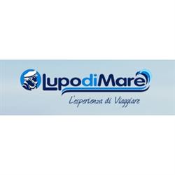 Agenzia Viaggi Lupo di Mare, Vigevano orari di apertura