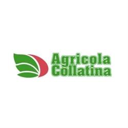 Agricola Collatina, Roma orari di apertura