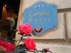 Hotel Camelia Roma, orari di apertura