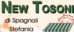 NewTosoni Di Spagnoli Stefania, Rieti orari di apertura