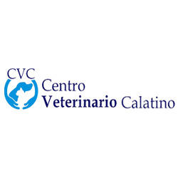 Centro Veterinario Calatino, Caltagirone orari di apertura
