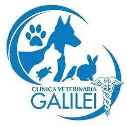 Clinica Veterinaria Galilei di Ripamonti dr. R. & Ciavarella dr. V., Peschiera Borromeo orari di apertura
