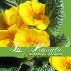 La Primula Fiori, Latina orari di apertura