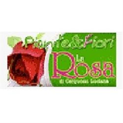 Piante e Fiori La Rosa, Veroli orari di apertura