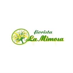 Fiorista La Mimosa, Domodossola orari di apertura