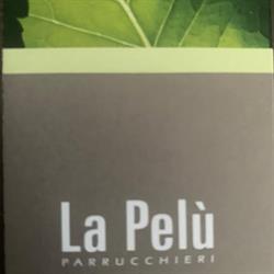 Parrucchiere La Pelu' La Pelu' Di Bottaro Morena a Abano Terme, orari di apertura