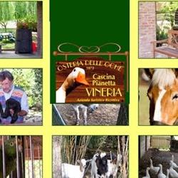 Osteria Delle Oche, Favria orari di apertura