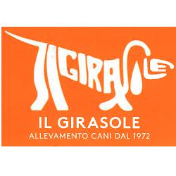 I Cuccioli del Girasole, Sacile orari di apertura