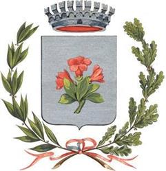 Comune di Pinzolo, orari di apertura