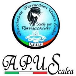 Centro di Formazione Professionale A.P.U.S., Scalea orari di apertura