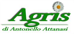 Agris, Chieri orari di apertura