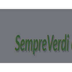 Sempreverdi, Parma orari di apertura