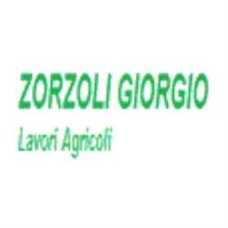 Zorzoli Giorgio - Lavori Agricoli, Gropello Cairoli orari di apertura