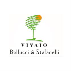 Vivaio Bellucci e Stefanelli, Todi orari di apertura