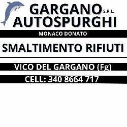 Gargano Autospurghi Srl, Vico del Gargano orari di apertura