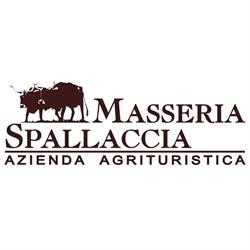 Masseria Spallaccia, Galatina orari di apertura