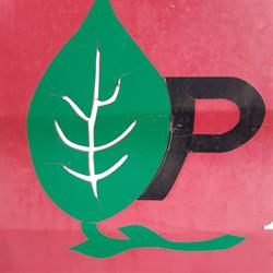 Vivai Peretti e Danti s.s Società Agricola, Nave orari di apertura