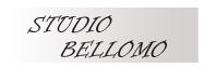 Studio Bellomo di Massimo Bellomo, Ferrera Erbognone orari di apertura