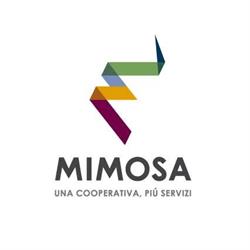 Mimosa, Riva del Garda orari di apertura