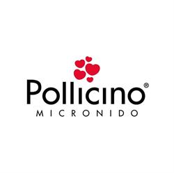 Asilo Nido Pollicino Minimondo S.n.c di Malcontenti & Clerico Asilo Nido, Montesilvano orari di apertura