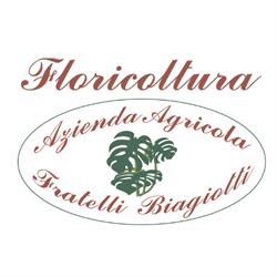 Biagiotti Floricoltura dal 1830, Firenze orari di apertura
