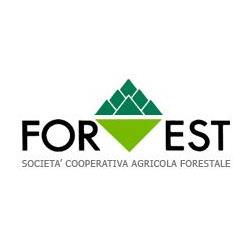 Forest S.C.A.F., Vignole Borbera orari di apertura