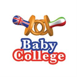 Baby College Srl Scuola Dell`infanzia Bilingue, Seregno orari di apertura