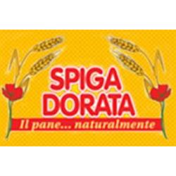 Spiga Dorata Srl, Isola della Scala orari di apertura