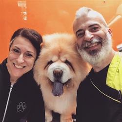 A Casa di Luly Franzolini Simone Toelettatura Cani e Gatti, Udine orari di apertura