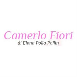 Camerlo Fiori, Cuorgnè orari di apertura