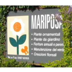 Mariposa, Ameglia orari di apertura