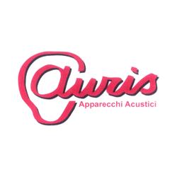 Auris - Apparecchi Acustici, Torino orari di apertura