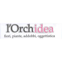 L'Orchidea, Palmi orari di apertura