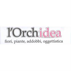 L'Orchidea, Palmi orari di apertura