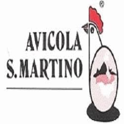 Avicola San Martino sas, Monte San Martino orari di apertura
