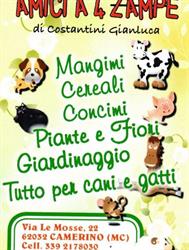Amici a 4 Zampe di Costantini Gianluca, Camerino orari di apertura