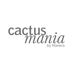 Cactusmania By Manera di Manera Annarita, Ventimiglia orari di apertura