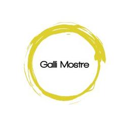 Galli Allestimenti, Firenze orari di apertura