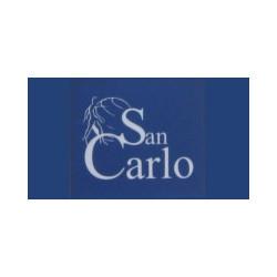 Ambulatorio Polispecialistico San Carlo S.r.l., Casaleone orari di apertura